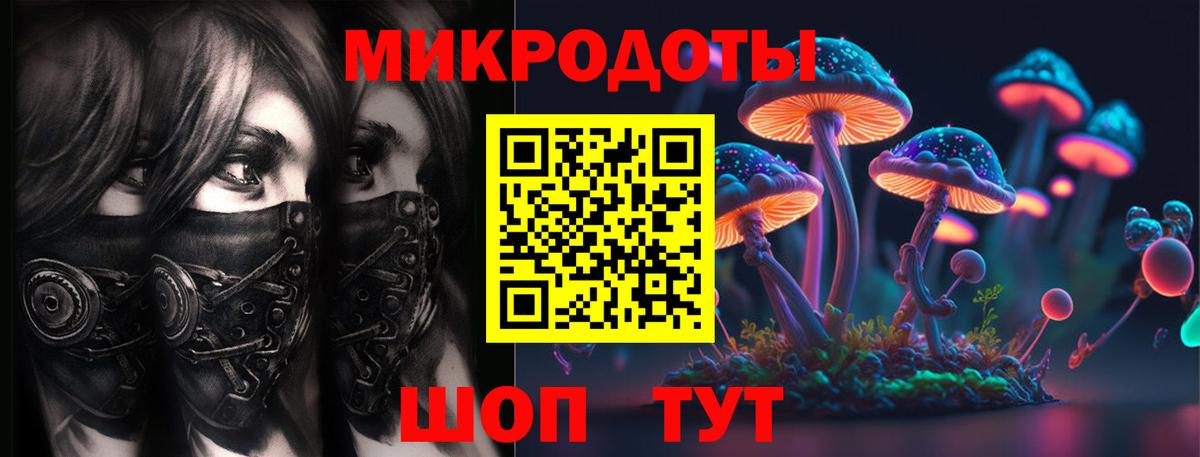 Галлюциногенные грибы Psilocybe Мариинск